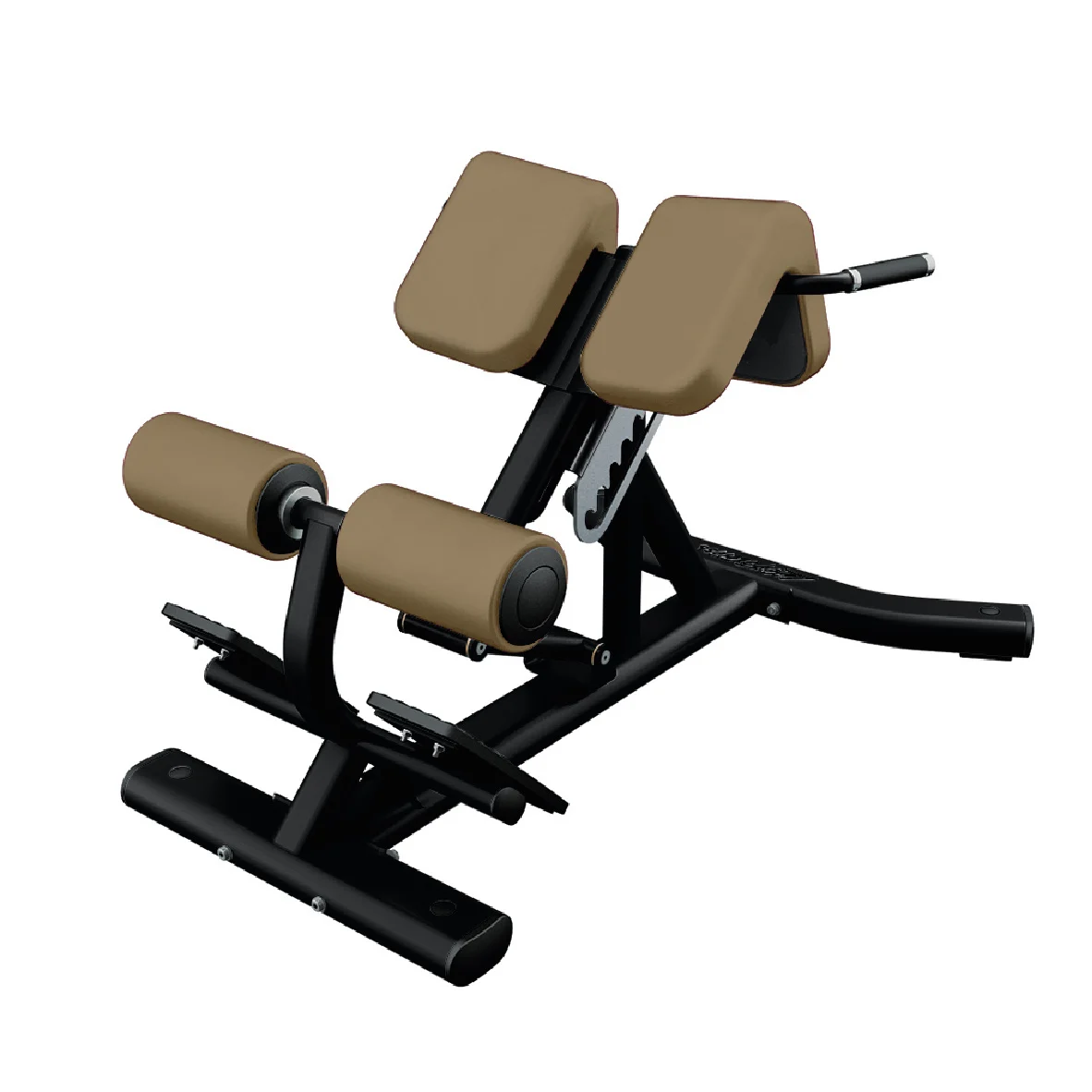 HOLLANDIA FITNESS-Life Fitness back extension-1