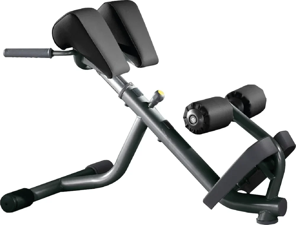 TechnoGym lower back bench